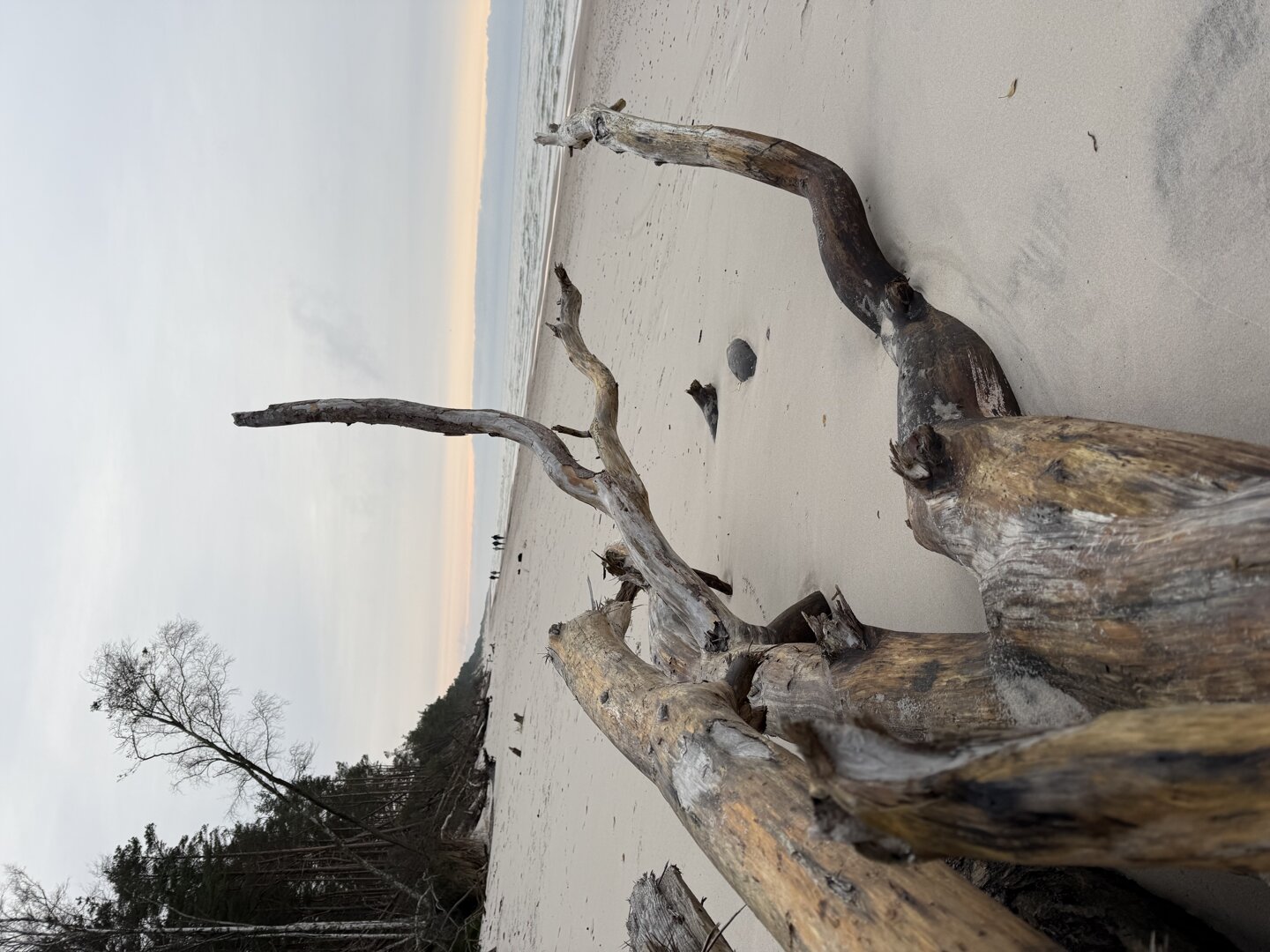 DG Finance Dawid Glanowski - 14